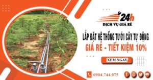 Lắp đặt hệ thống tưới cây tự động tại Bình Dương – Tiết kiệm 10%
