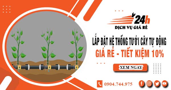 Lắp đặt hệ thống tưới cây tự động tại Bình Phước - Tiết kiệm 10%