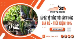 Lắp đặt hệ thống tưới cây tự động tại Đak Lak – Tiết kiệm 10%