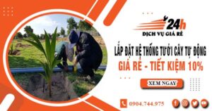 Lắp đặt hệ thống tưới cây tự động tại Đak Nông – Tiết kiệm 10%