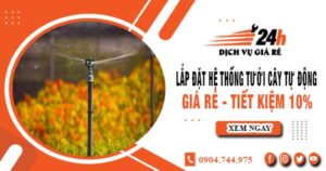 Lắp đặt hệ thống tưới cây tự động tại Ninh Thuận – Tiết kiệm 10%
