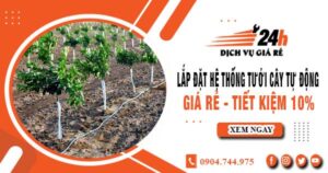 Lắp đặt hệ thống tưới cây tự động tại quận 10 – Tiết kiệm 10%