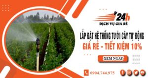 Lắp đặt hệ thống tưới cây tự động tại quận 11 – Tiết kiệm 10%