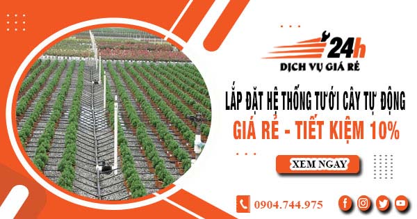 Lắp đặt hệ thống tưới cây tự động tại quận 4 - Tiết kiệm 10%