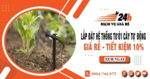 Lắp đặt hệ thống tưới cây tự động tại Tân Phú – Tiết kiệm 10%