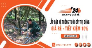 Lắp đặt hệ thống tưới cây tự động tại Tây Ninh – Tiết kiệm 10%
