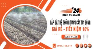 Lắp đặt hệ thống tưới cây tự động tại Thủ Dầu Một – Tiết kiệm 10%